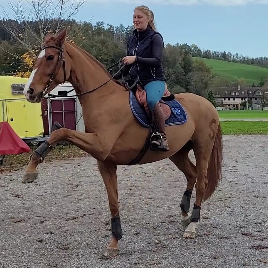 Michele Schmid mit ihrer Stute